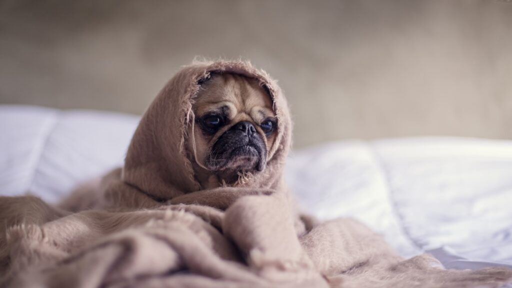 Como o stress me derrubou em Março e Abril